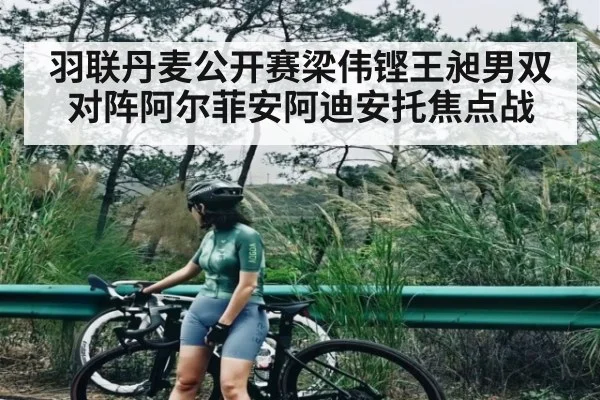 羽联丹麦公开赛梁伟铿王昶男双对阵阿尔菲安阿迪安托焦点战